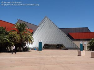 organizacion eventos empresarial